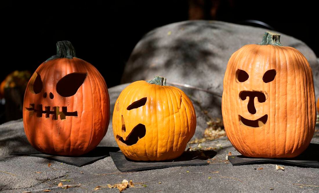 Cuándo y cómo se celebra Halloween en Estados Unidos? - ViveUSA
