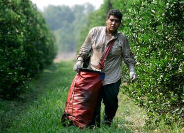 Mexicanos en Estados Unidos: quienes impulsan la economía del país