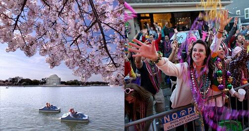 Destinos de Estados Unidos para visitar en marzo