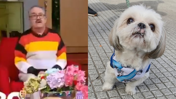 TV Azteca rompe el silencio tras la polémica de Pedro Sola y anuncia medidas por el bienestar animal