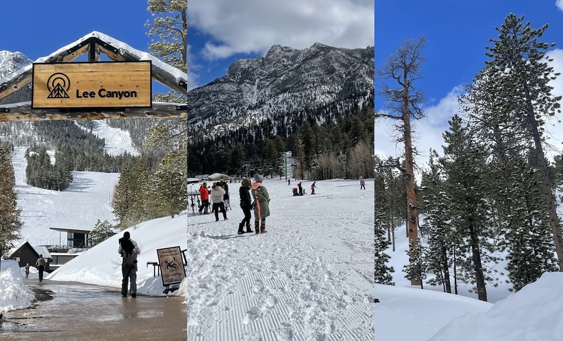 Lee Canyon/ Nevada/ Diana Espinoza