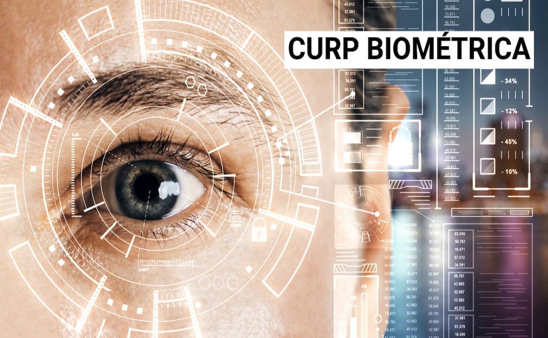 CURP biométrica 2025: ¿Cómo hacer el trámite en línea? Fechas clave y requisitos. Foto: Adobe