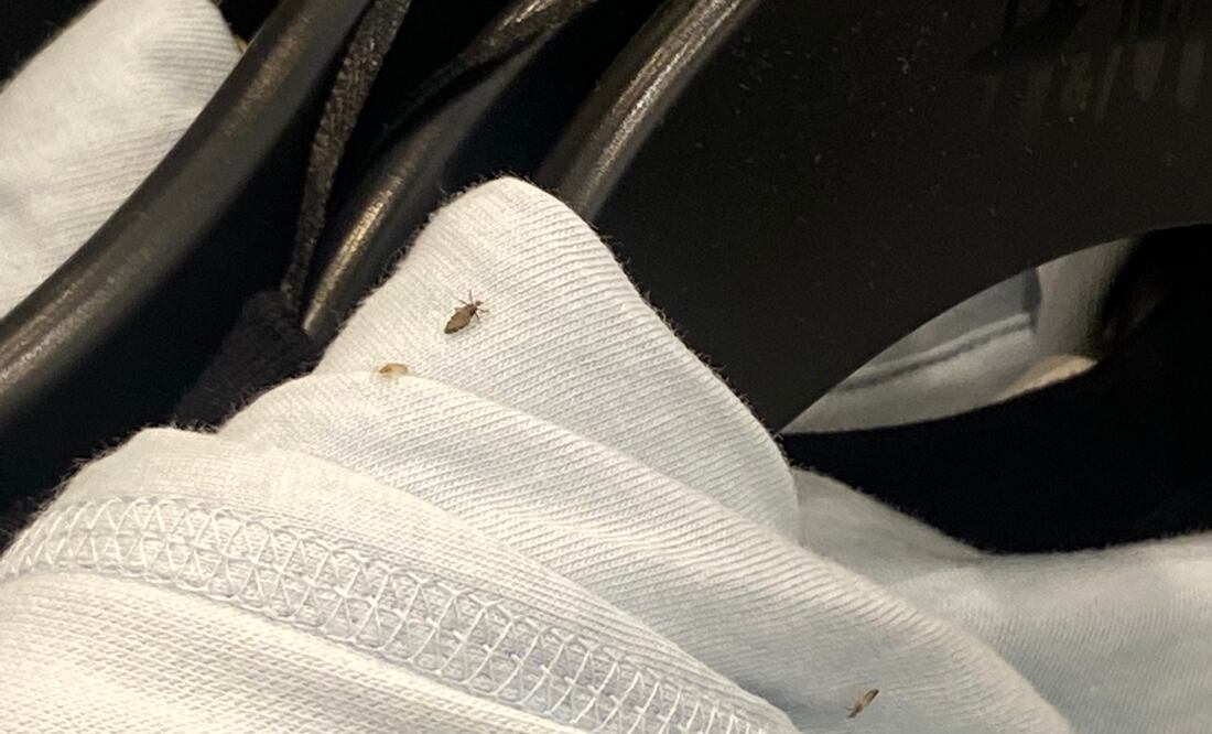 Foto: Twitter @Madesonee_