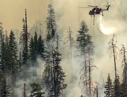 Fuerte incendio amenaza las secuoyas en el parque de Yosemite (Fotos)