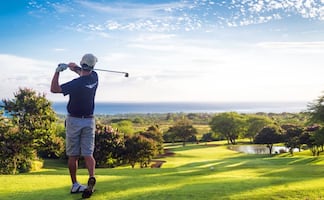 Qué hacer en Carolina del Sur, 10 cosas que no te puedes perder 