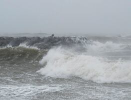 No fue un tsunami, fue un ‘meteotsunami’ lo que ocasionó raro oleaje en Florida