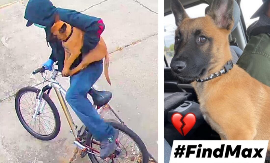 Facebook/Departamento de Policía de Concord