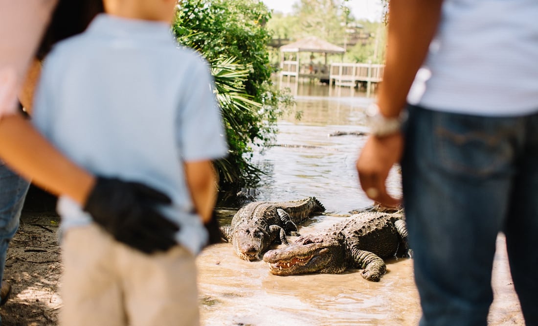 Cortesía Experience Kissimmee