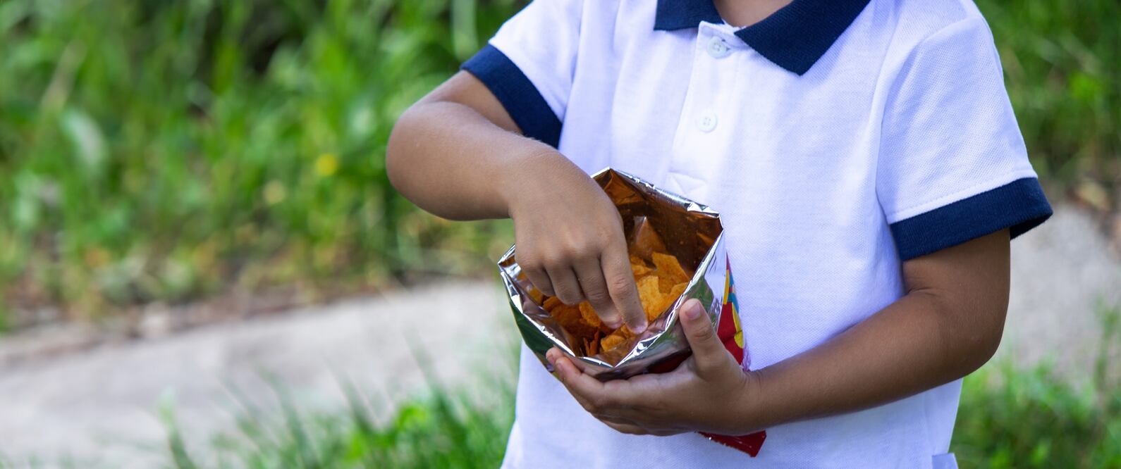 Comida chatarra. Escuelas mexicanas enfrentarían multas por no aplicar prohibición. ¿Cuánto pagarían? Foto iStock / Anna Solovei
