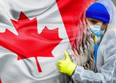 ¿Buscas trabajo? Solicitan mexicanos para trabajar en planta de Canadá (sin inglés)