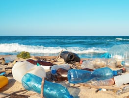 Las playas MÁS SUCIAS de México para el verano 2024: Hay de Oaxaca y Veracruz