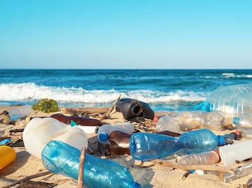 Estas son las playas más SUCIAS de México en el verano 2025: No aptas para nadar