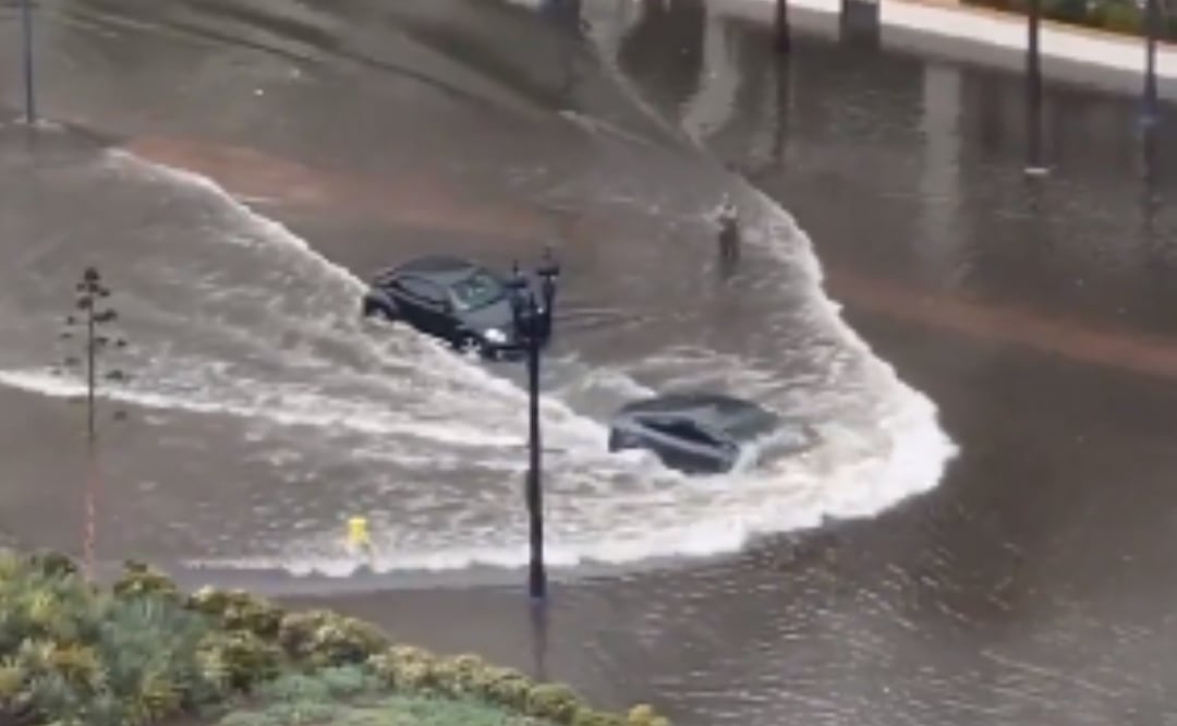 Auto Tesla Model 3 desafía las inundaciones de San Diego; "navegó como un barco". VIDEO. Foto: Screenshot X