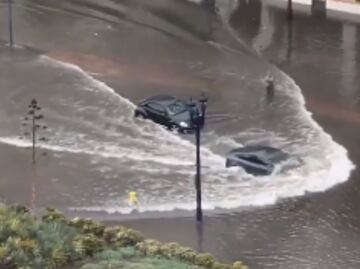 Auto Tesla Model 3 desafía las inundaciones de San Diego; "navegó como un barco". VIDEO