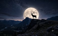 Luna del Ciervo 2026: cuándo y a qué hora verla en México y qué significa