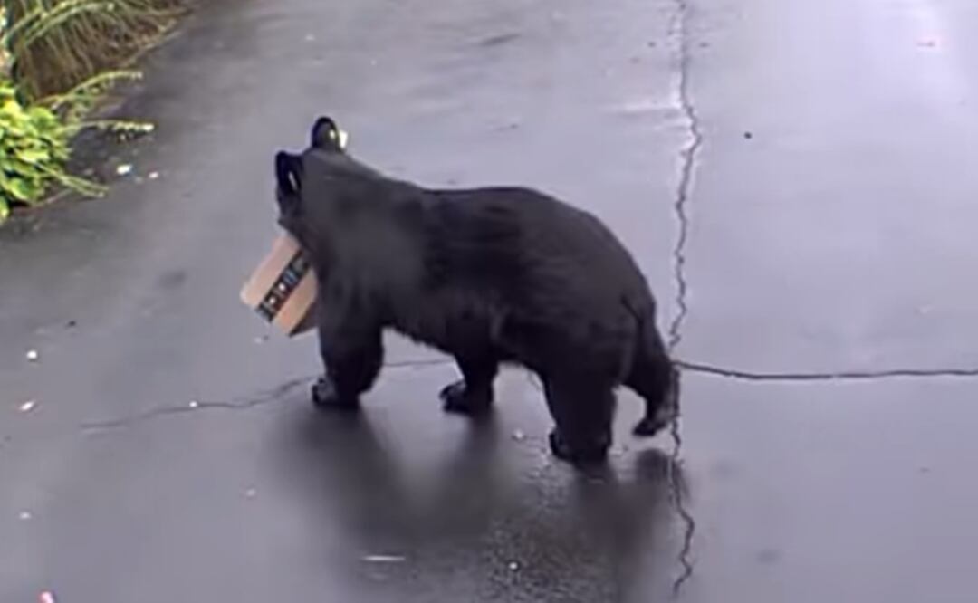 Foto: captura de pantalla