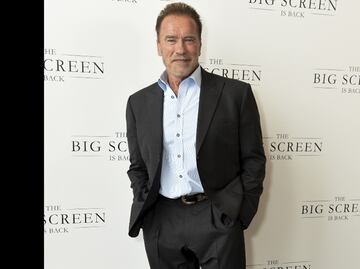 Schwarzenegger ficha por Netflix en serie de espías