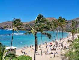 Los 5 mejores lugares de Estados Unidos para visitar en febrero