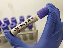 Chandipura, el letal virus qua causa alarma. Síntomas, cómo se transmite. ¿Hay casos en México?