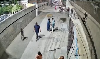 León "mascota" ataca a mujer y a sus dos hijos; detienen a los dueños del felino. VIRAL