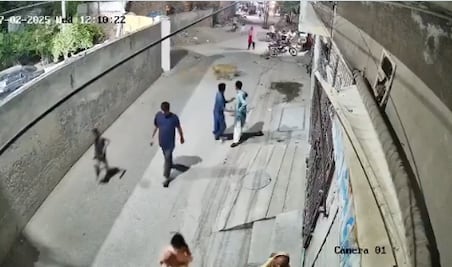 León "mascota" ataca a mujer y a sus dos hijos; detienen a los dueños del felino. VIRAL