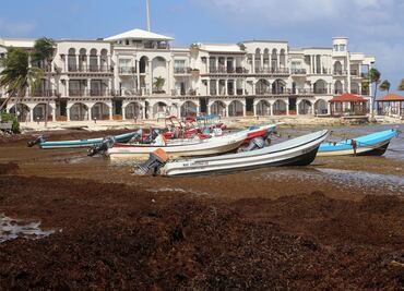 Prevén "alarmante" llegada de sargazo a la Riviera Maya en 2022