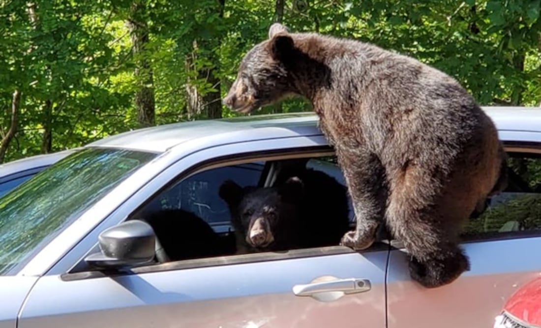 Foto: Facebook Chad Morris