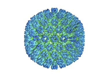 Virus Epstein-Barr sería la causa principal de la esclerosis múltiple