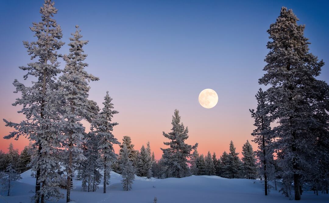 Luna llena de Nieve 2025. ¿Cuándo es y por qué se llama así? Lo que debes saber. Foto: iStock-Delpixart