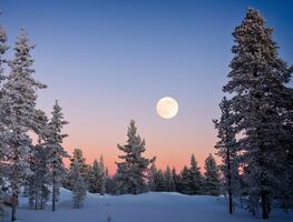 Lluvia de meteoritos Centauridas, Luna llena de nieve y los eventos astronómicos imperdibles de febrero