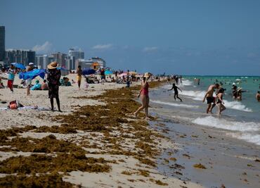 Covid-19. Menos casos nuevos en Florida, pero en Miami-Dade no hay respiro