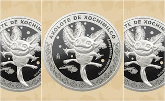 ¿Dónde y cómo conseguir la moneda conmemorativa del ajolote? Esto debes saber