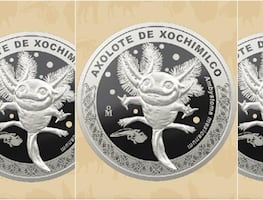 ¿Dónde y cómo conseguir la moneda conmemorativa del ajolote? Esto debes saber