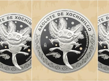 ¿Dónde y cómo conseguir la moneda conmemorativa del ajolote? Esto debes saber