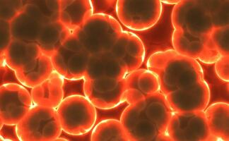 Alertan por brote de enfermedad meningocócica en Florida. ¿Qué es?