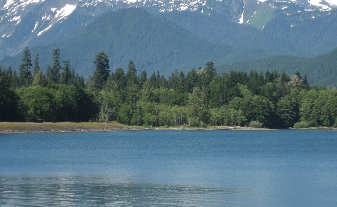 Foto: Wikimedia Commons