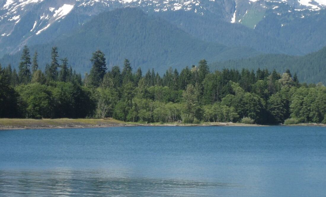 Foto: Wikimedia Commons