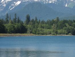 Niño muere tras contraer ameba ‘destruye cerebros’ en lago de California