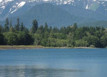 Niño muere tras contraer ameba ‘destruye cerebros’ en lago de California