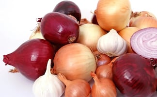 Brote masivo de salmonela en Estados Unidos por cebollas mexicanas