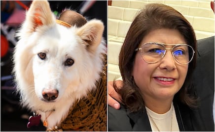 Exalcaldesa de Tecámac admite sacrificio de 10 mil perros por “morder a la gente” y enciende las redes