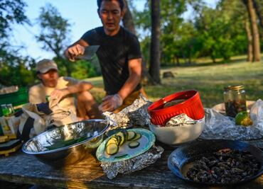 Sushi de cigarra, el crujiente manjar de un chef de Washington