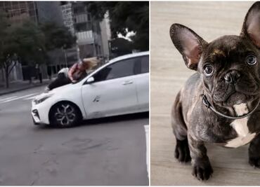 Video. Mujer se aferra a auto de ladrones que le robaron a su bulldog francés en Los Ángeles