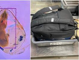 ¡Otra vez no! Encuentran perro en rayos X de aeropuerto de Wisconsin
