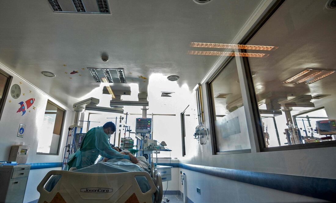 Investigadores chinos trasplantan riñón de cerdo a un humano. Foto: AFP