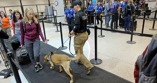 Buscan perros más tiernos para cuidar aeropuertos de EU