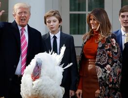 ¿Por qué el presidente perdona a un pavo en Día de Acción de Gracias?