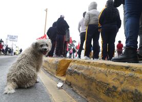 Megabloqueo de piperos. Se normaliza el paso en el tramo de plazo de cobro Chalco y Tepotzotlán
