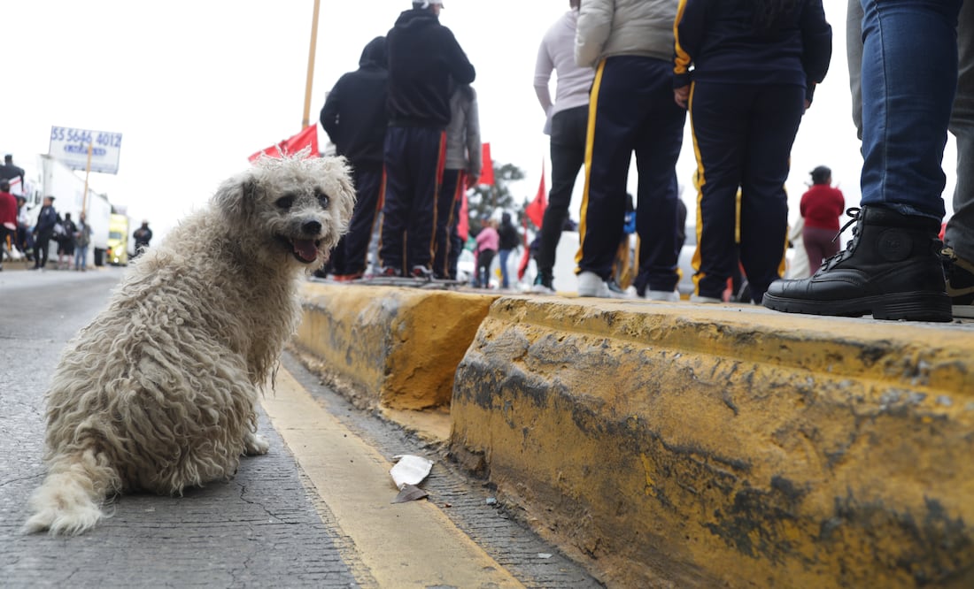 ¡Tránsito liberado! Se normaliza el paso en la México-Puebla, plazo de cobro Chalco, tras bloqueo de piperos por agua. FOTO: CARLOS MEJIA/EL UNIVERSAL