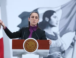 Sheinbaum espera que Julio César Chávez Jr. sea deportado y "cumpla sentencia" en México